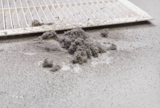 Best Air Duct Sanitizing Services  in North Massapequa, NY